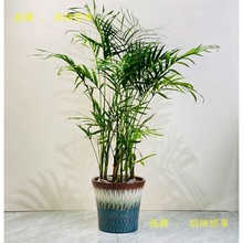 �����մɴ�̖���s�F�����������̨�Gֲ�N��lؔ��