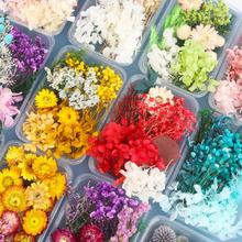 ��Ȼ�ɻ��������ٻ�����ͯ�ֹ�diy�F�Ȳ��ϰ��ɻ��R��������