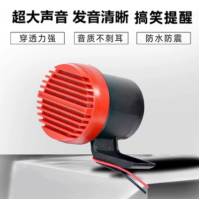 Voice Prompts, Car horn/tweeter