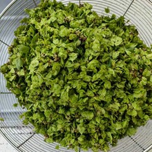 �������X�Ӄ�����ճ���׷���C �Ӳ�̎�������O�� �ЙC�����a��