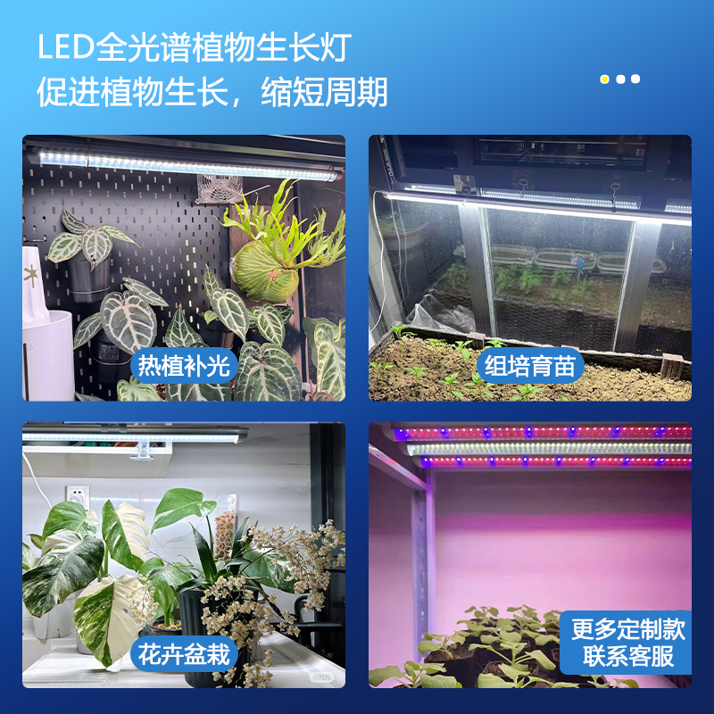 LED de cultivo de tejidos de espectro completo Lámpara de crecimiento de plantas T8 integrada 1.2m 18W 36W vegetal plántula iluminación lámpara larga