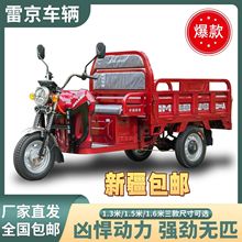 雷京农用拉货快递载重王家用成人快递送货山区新款摆摊电动三轮车