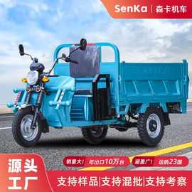 电动三轮车拉货家用大功率自卸爬山电三轮国标农用电动车电瓶车