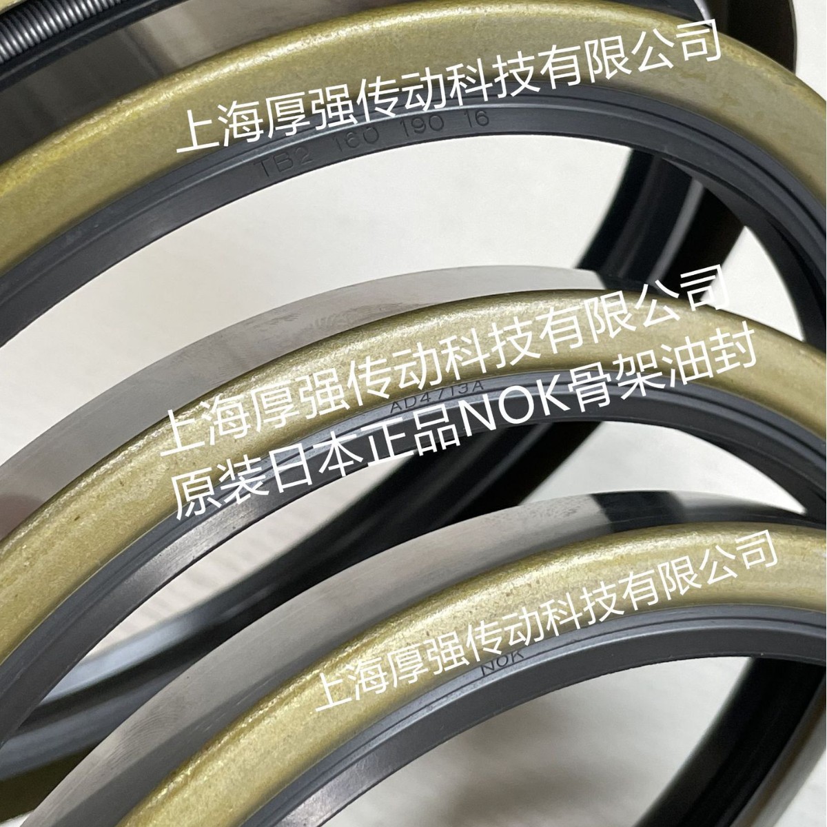 日本NOK株式会社外骨架双唇FW油封 NOK AD4713-A4 TB2 160X190X16