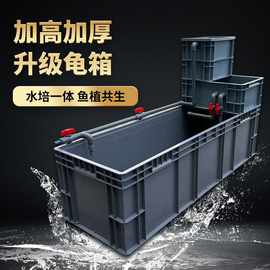 生态龟缸家用鱼龟混养缸过滤器高品质送拉筋乌龟养殖懒人龟箱