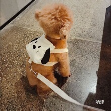 宠物外出自背包狗狗小型书包比熊博美泰迪牵引绳小狗可爱卡通夏天