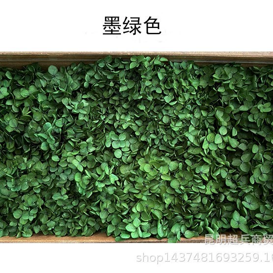 [Вечная Life Flower Hydrangea] Анна Градиентный цвет Лист Hydramid Книга цветов оптом DIY цветочная коробка материал для просмотра