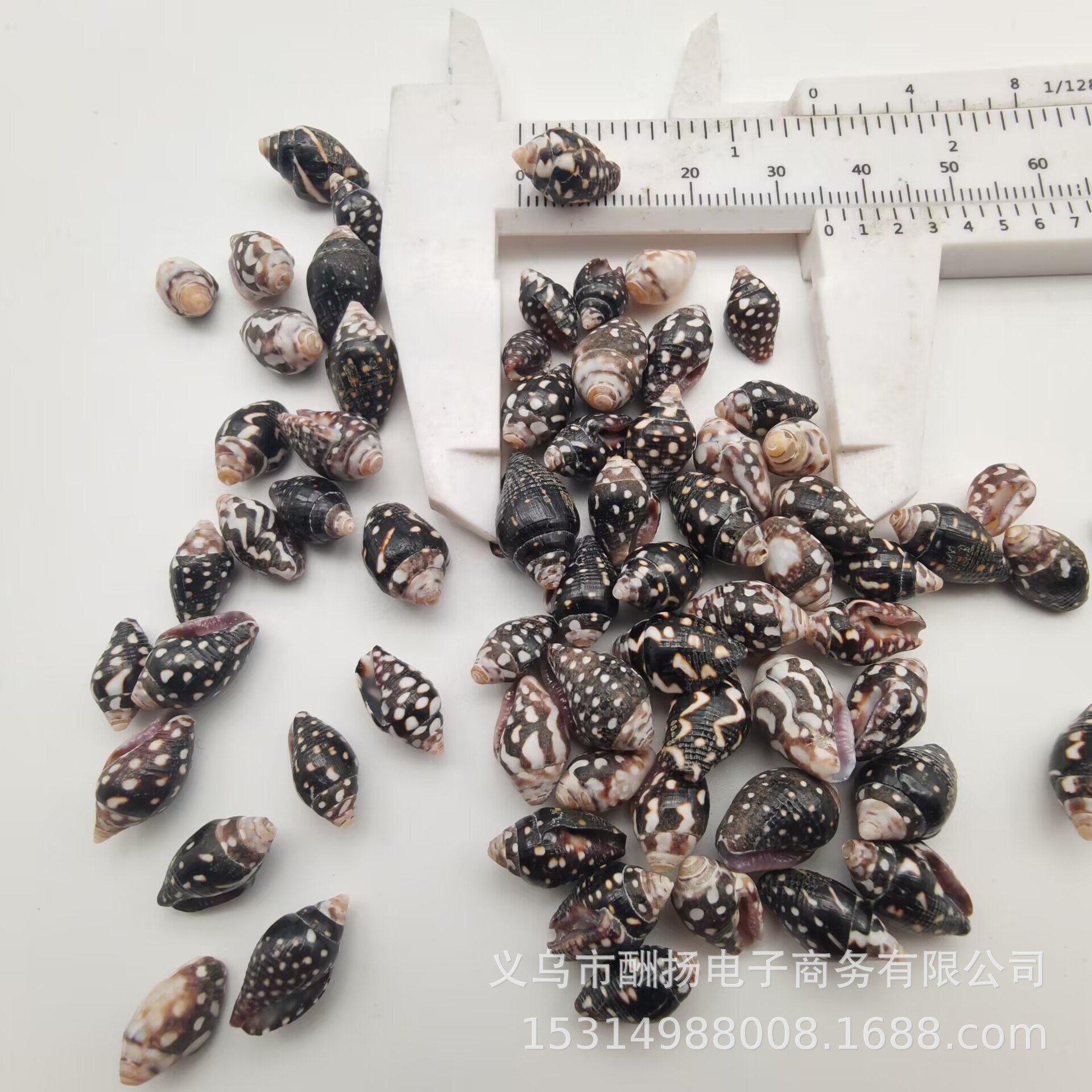 8BFFF3CF09EBE8214A9C6D4837D0FC