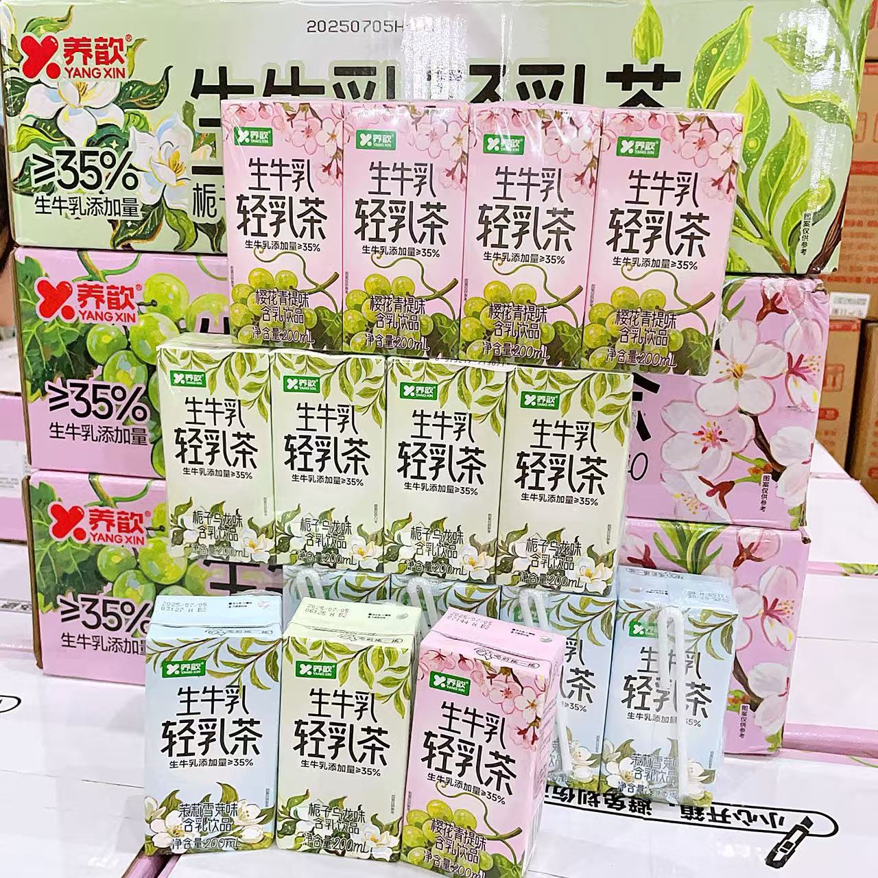 养歆 生牛乳 轻乳茶栀子乌龙樱花青提茉莉雪芽味夏季解渴清爽饮料