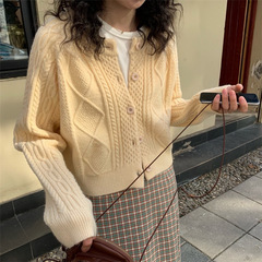 奢缇家2025年冬款外贸圆领绞花毛衣季新款女装套头针织开衫女短款