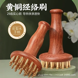 经络保健器材;瑜伽辅助用品;瑜伽球