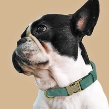 ˩ȦȦСȮ̩Ͽ»riȦKַG