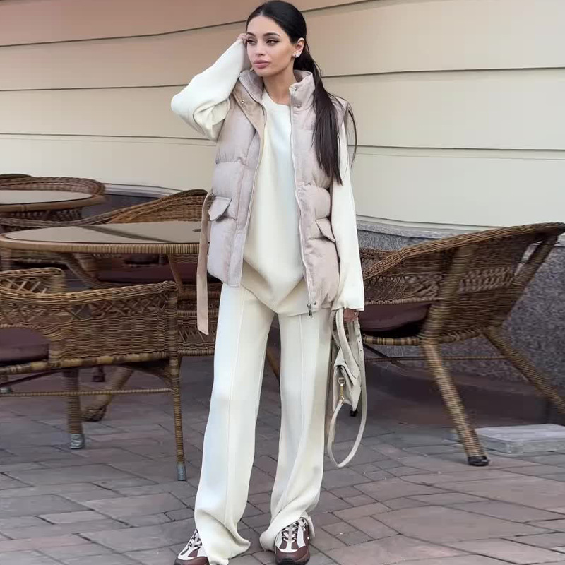 2024 otoño y invierno nuevo estilo europeo y americano Amazon ropa de mujer transfronteriza de color sólido perezoso viento universal grueso chaleco de algodón image 1