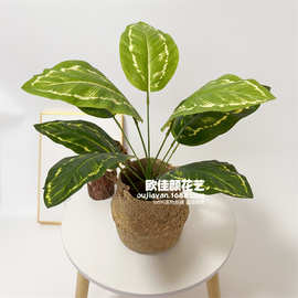 9头仿真绿植手感叶仿真龟背叶家居展厅植物墙装饰摄影拍照绿植