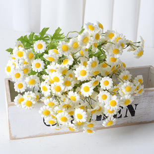 30�^С�r����ʾշ��滨С�ѻ� �Ҿ��b��m�ռٻ����������l