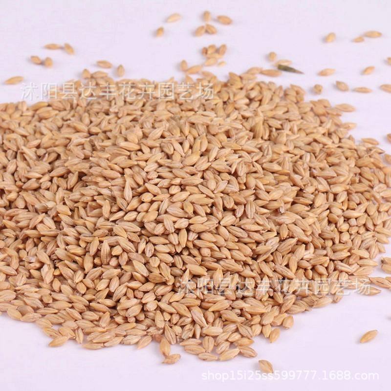 096297e400547e0bd44e92242cc179