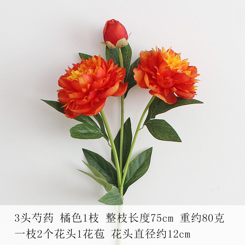 오렌지