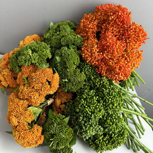 ܛ�zܛ�z���滨�Ҿ��b����������Ĕz���߹������ֲ��˻�