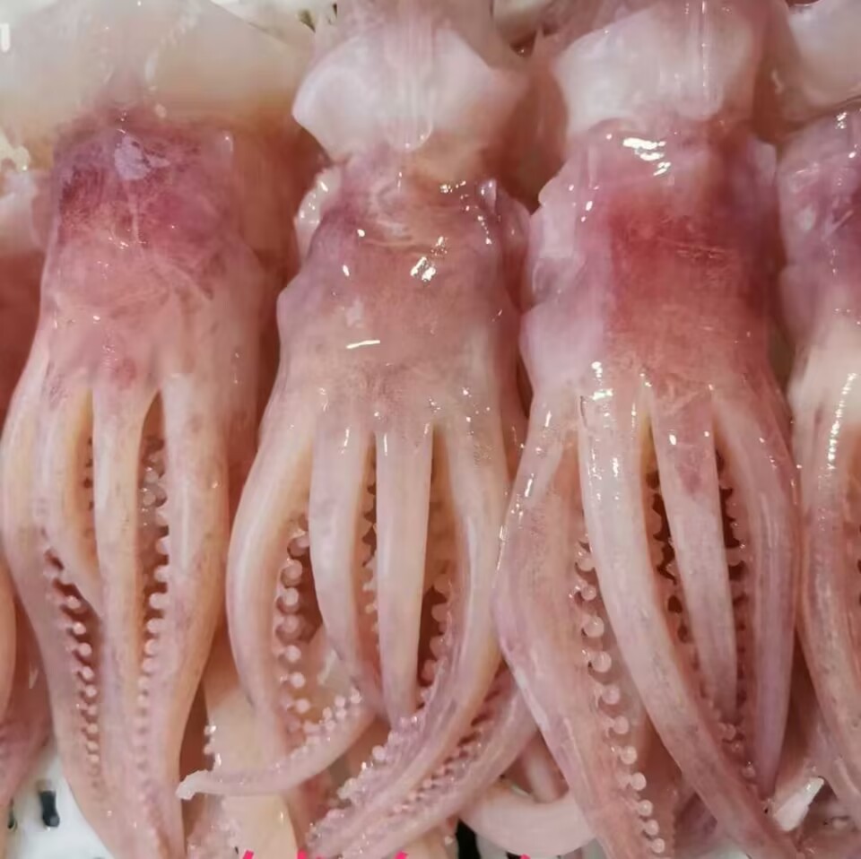 QQ图片20230419131627