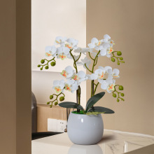 滨Сm辰҃Ȕ[Sֱһl