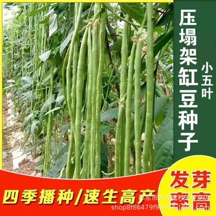 ժ��������С���~��ƷС�~�����N������߮a�r�ҷ��D�����L����