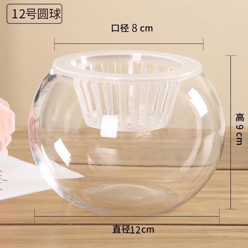 水培植物ガラス瓶透明直筒円筒形花瓶シンプル緑羅白掌水養ガラス容器|undefined