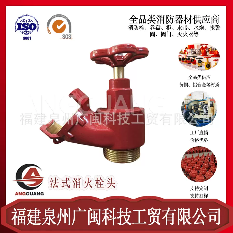 外贸防爆消防黄铜法式消防栓灭火器一体式DN65/40消火栓头