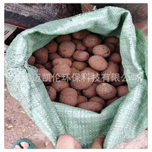 厂家直销生物滤池用陶粒滤料 BAF曝气池用陶粒 水处理用生物陶粒