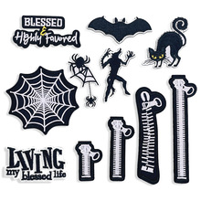 ��ɫϵ����ĸ���N֩��W��ͨ؈����X�̽��a���N���b���������