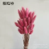 Cosmetic