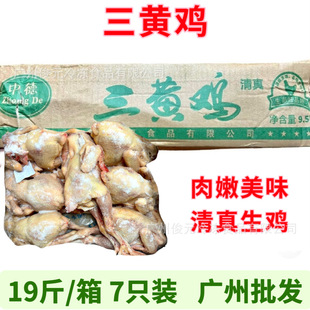 农家三黄鸡 7只 散养走地鸡 速冻三黄鸡整只土鸡非老母鸡商用食材-阿里巴巴