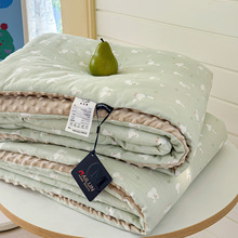 A类全棉双层纱豆豆绒被纯棉春秋被冬被单人双人四季被子卡通被芯