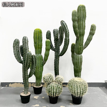 ������ϵ�ж��ʽ���˘�Ħ������ɳĮ�L��ٷ��������򙻴��쾰