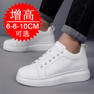 �＾����[�΃�������Ь10cm�\��Ь6��a���e��ЬС��Ь����Ь��8