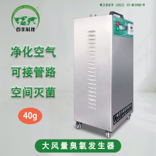 百丰养殖业臭氧消毒设备 车间臭氧消毒机 化妆品厂包材消杀臭氧机