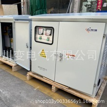 ܸʽSG10-5KVA10KV380v/690v800v540vѹ