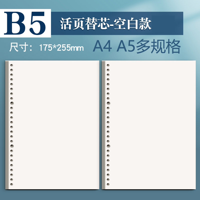 A5/B5/A4 Blank Loose-Leaf Paper Punched Notebook Refill Sketch Drawing Thickened Export Cross-Border A5/B5/A4 Blank Loose-Leaf Paper Punched Notebook Refill Sketch Drawing Thickened Export Cross-Border