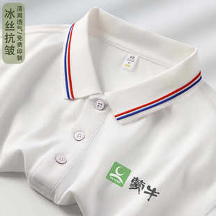 Summer Ice Silk Polo Shirt Custom Work Clothes Short-Sleeved T-Shirt Cultural Shirt Group Employee Work Clothes Custom Printed Log