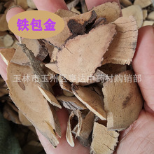 中药材铁包金 乌龙根片