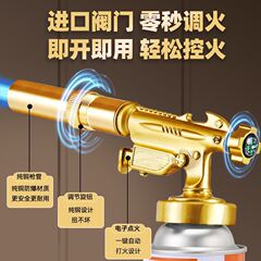 全銅ガンヘッドの噴火ガンは豚の毛を燃やします。