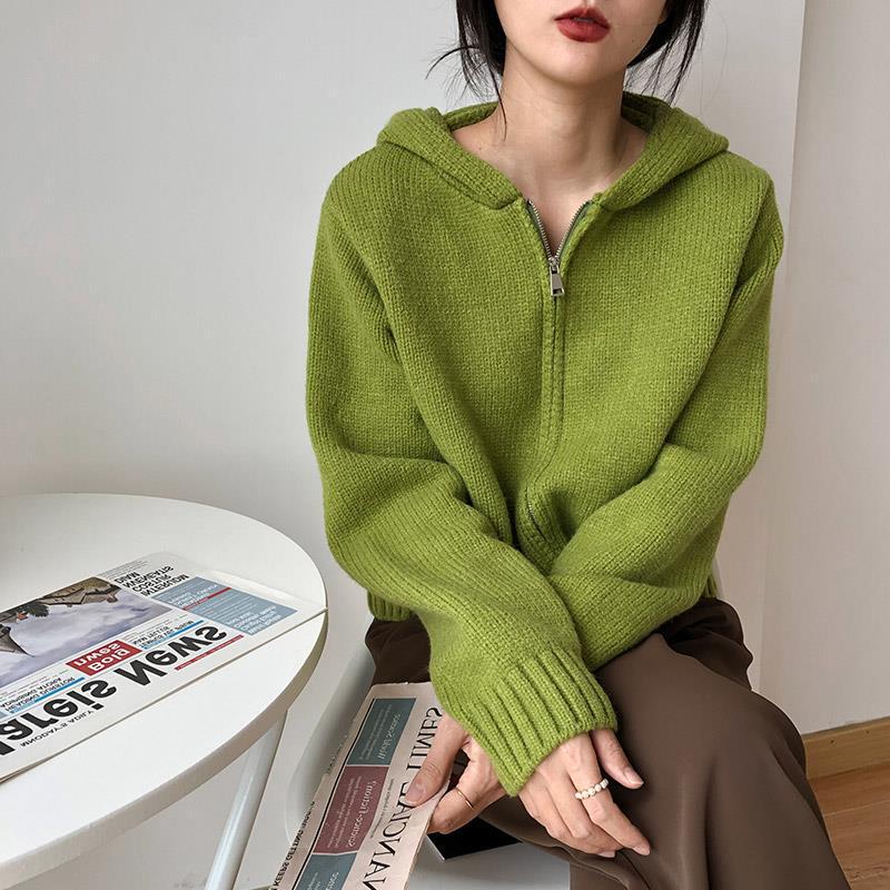 Zipper Hooded Knitted Cardigan for Women 2025 Autumn and Winter New High-End Korean Sweater for Women Thickeneded Top for Outer Wear Trendy