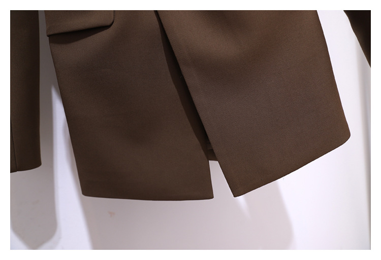 Coupe-vent pour femme, nouveau haut de style coréen, petite veste chic de couleur café, costume haut de gamme pour femme, printemps et automne_voghion.com