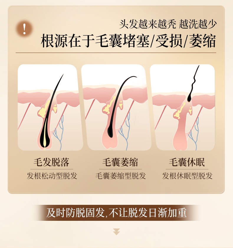 采菲尔生姜洗发水详情_03