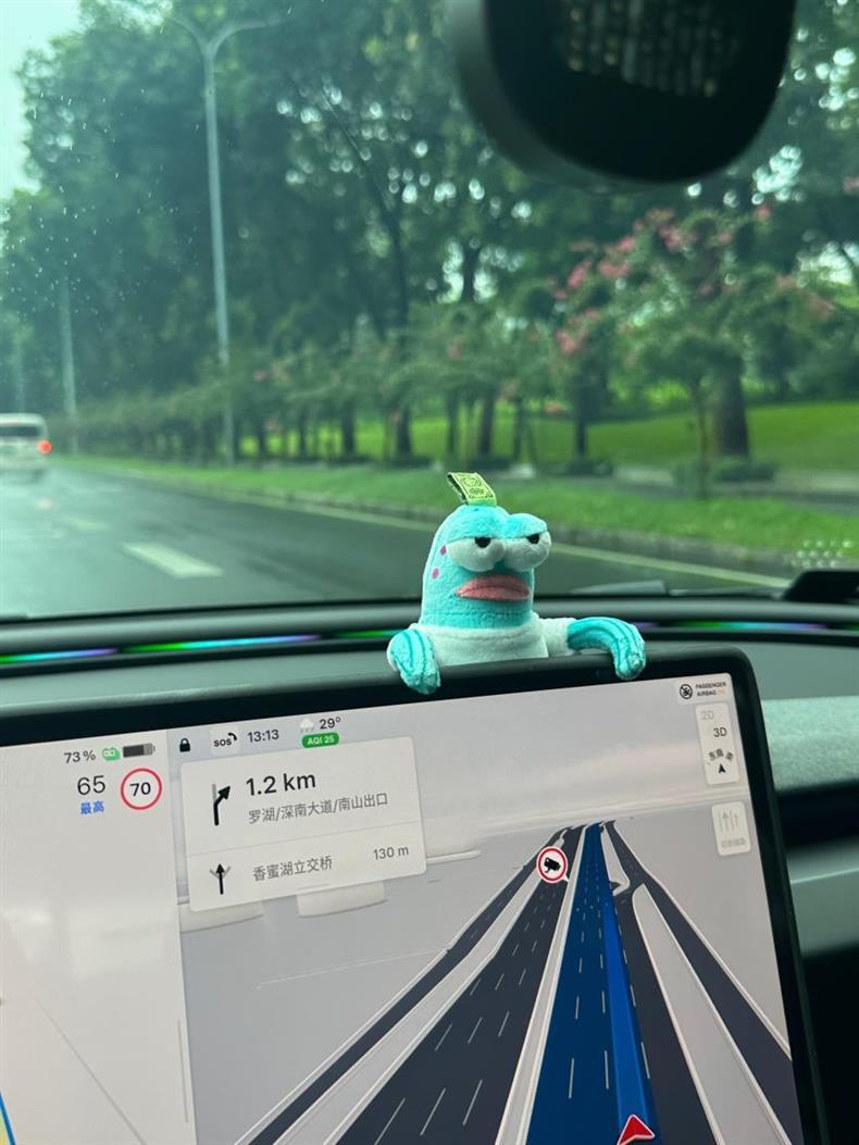 Car Center Console Screen Ornaments Bicchibao Residents Cool Fish Stylish Creative High-End Rearview Mirror Pendant
