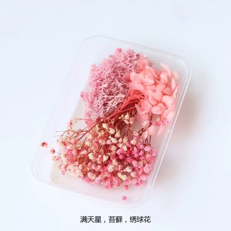 Paquete mixto de bricolaje, decoración hecha a mano, flor eterna, material de paquete de flores secas, marco de fotos de bricolaje, paquete de flores en relieve, día de la mujer