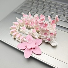 3d打印樱花龙玩具模型A关节可动仿真动物摆件玩偶手办PLA材质礼物