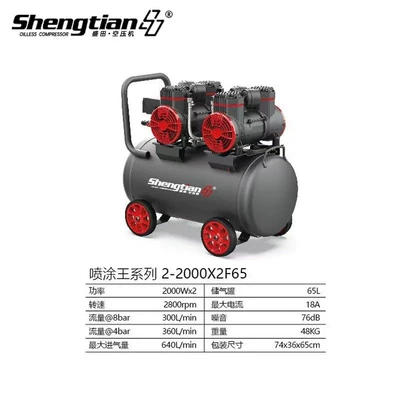 Oil-Free Piston Air Compressor 100150180210L Large Portable Air Pump Air Compressor High Pressure (Hava kompressorları) - 2-2000x2f65