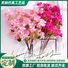 ��������÷��c�ѻ���÷���һ�֦���ϻ��b������͏d��ؼٻ��l