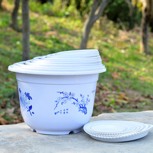 ���ϻ���A�μӺ��̖���������N���N�������������ϻ�����⻨��