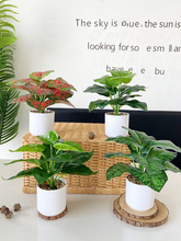 �͏d�bٻ��G�}�ҾӔ[������Gֲ�����辰�k����С������������